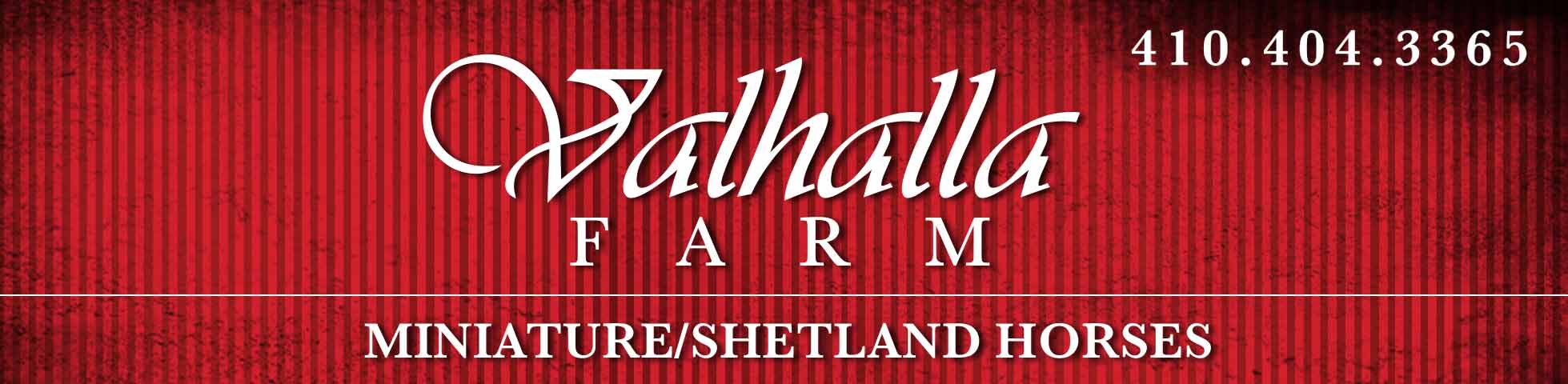 VALHALLA FARM, For Sale Horses Miniatures Shetlands, Maryland